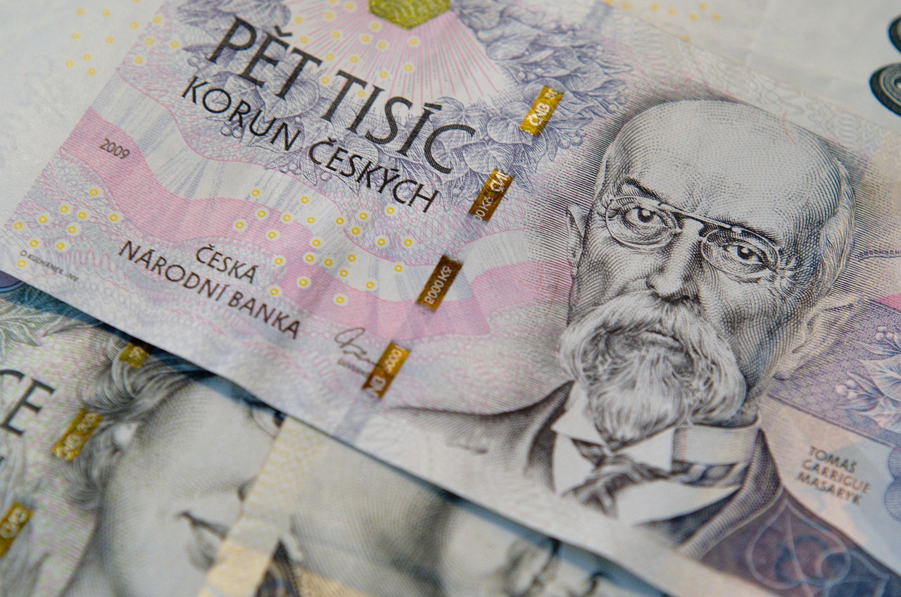 https://pixabay.com/photos/money-cash-czech-crowns-banknotes-8033100/
